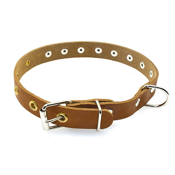 Ошейник 20/1 кожа