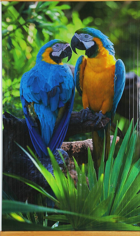 Обогреватель настенный 105*60*0,05 "Попугаи"