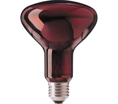 Эл.лампа ИКЗК 230-250 Е27 красн