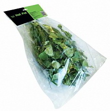 Веник березовый