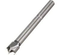 Сверло Управдом 10мм форстнера