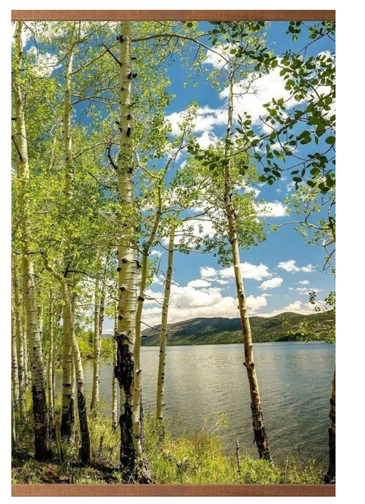 Обогреватель настенный 105*60*0,05 "Березы"