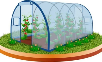 Теплицы и парники