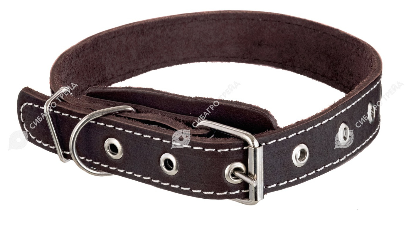 Ошейник 25/1 кожа