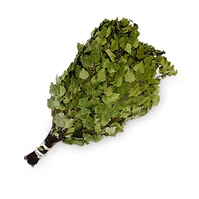 Веник березовый